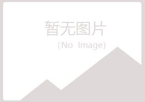 新城子区夜山邮政有限公司